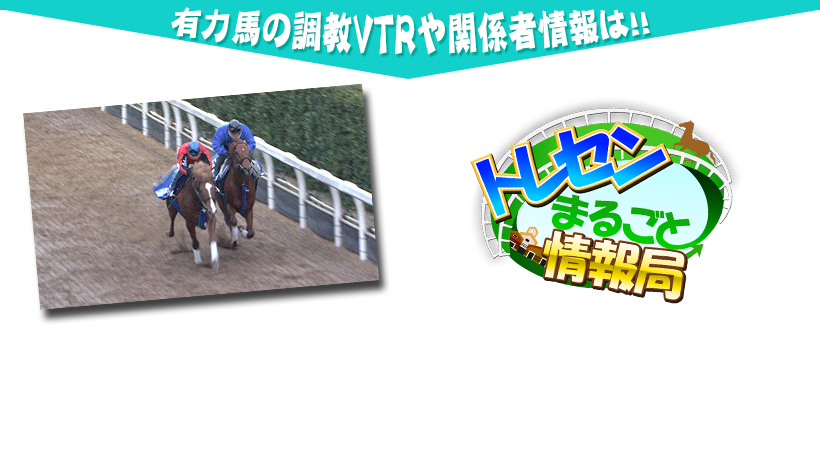 今週の調教/トレセンまるごと情報局