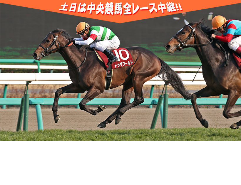 中央競馬全レース中継