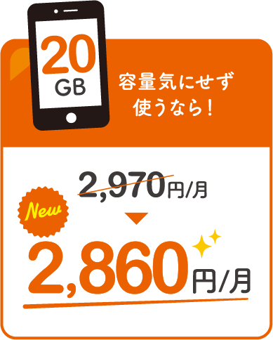 容量気にせず使うなら！ 2,860円/月