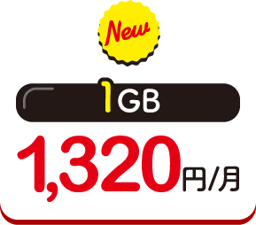 1GB 1,320円/月
